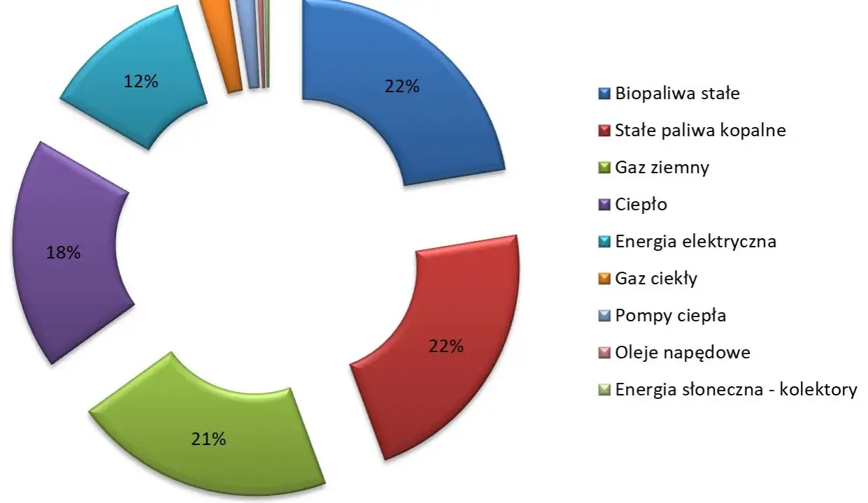 Wykres kołowy pokazuje strukturę zużycia energii w Polsce: 22% gaz ziemny, 22% stałe paliwa kopalne, 21% ciepło, 18% energia elektryczna, 12% biopaliwa stałe, a pozostałe źródła poniżej 2%.