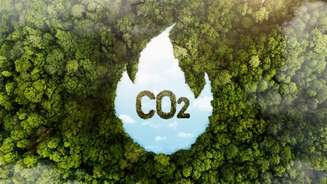 Gęsty las tworzy kształt płomienia, w którym widać niebo i chmury. W środku litery "CO2" uformowane z liści. Zastanawiasz się, ile Polska płaci za emisję CO2?