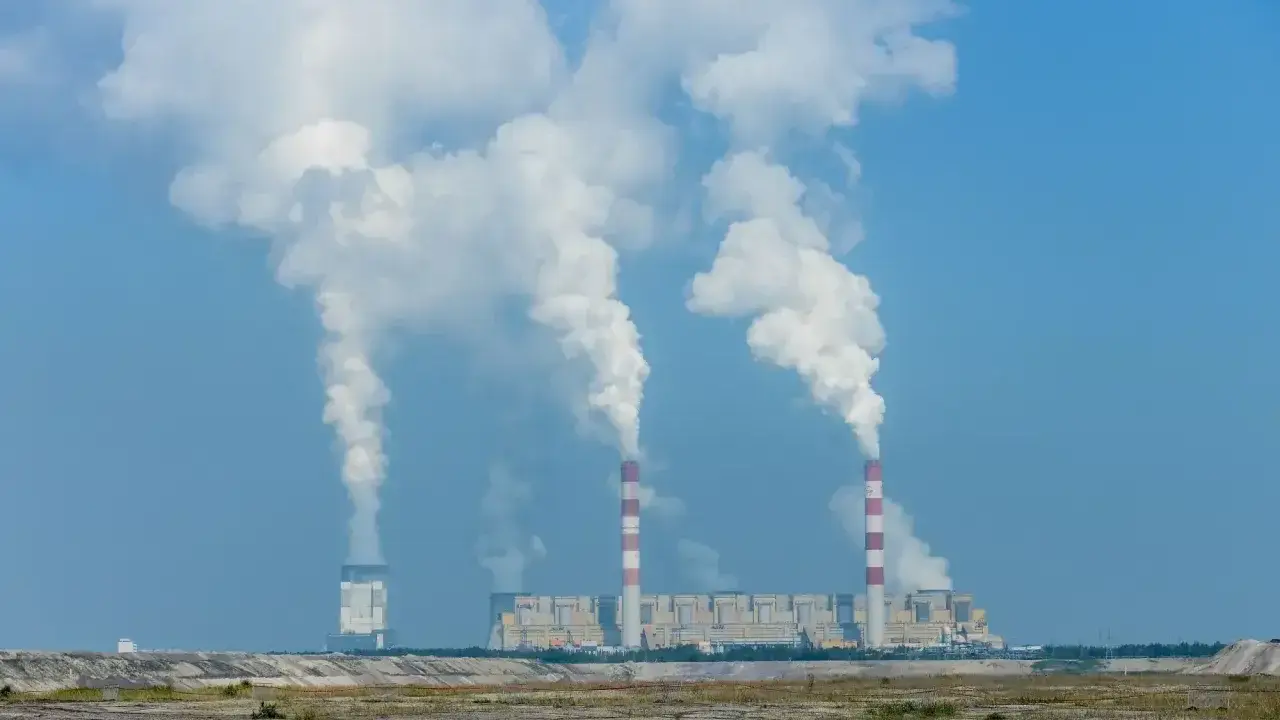 Ogromne ilości pary unoszą się z kominów elektrowni Bełchatów, sugerując, ile węgla spala elektrownia Bełchatów.