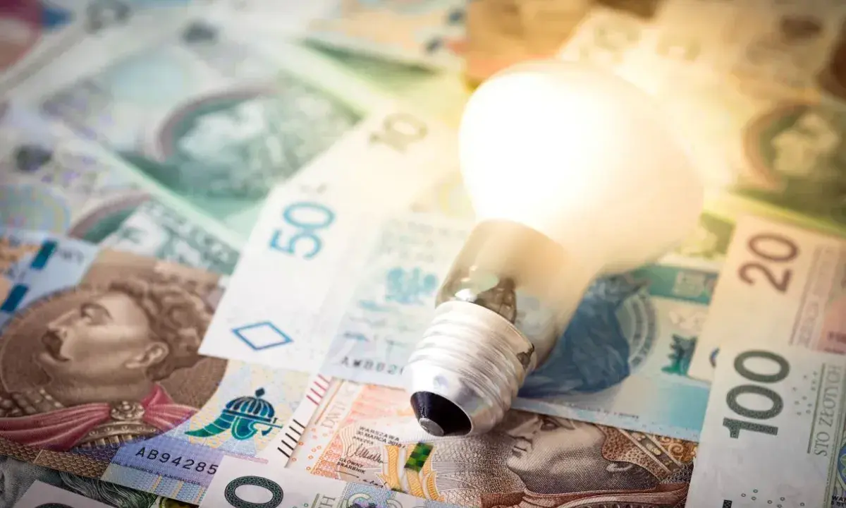 Żarówka świeci na tle polskich banknotów. Czy to dodatek energetyczny dla każdego?