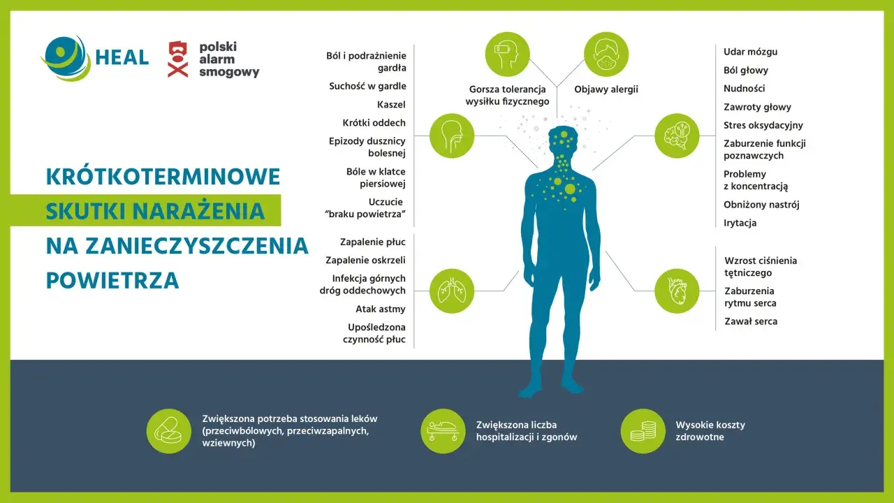 Grafika przedstawia skutki krótkoterminowego narażenia na zanieczyszczenia powietrza, ilustrując objawy oddechowe, neurologiczne i sercowe. Polski alarm smogowy to ostrzeżenie o zagrożeniu.