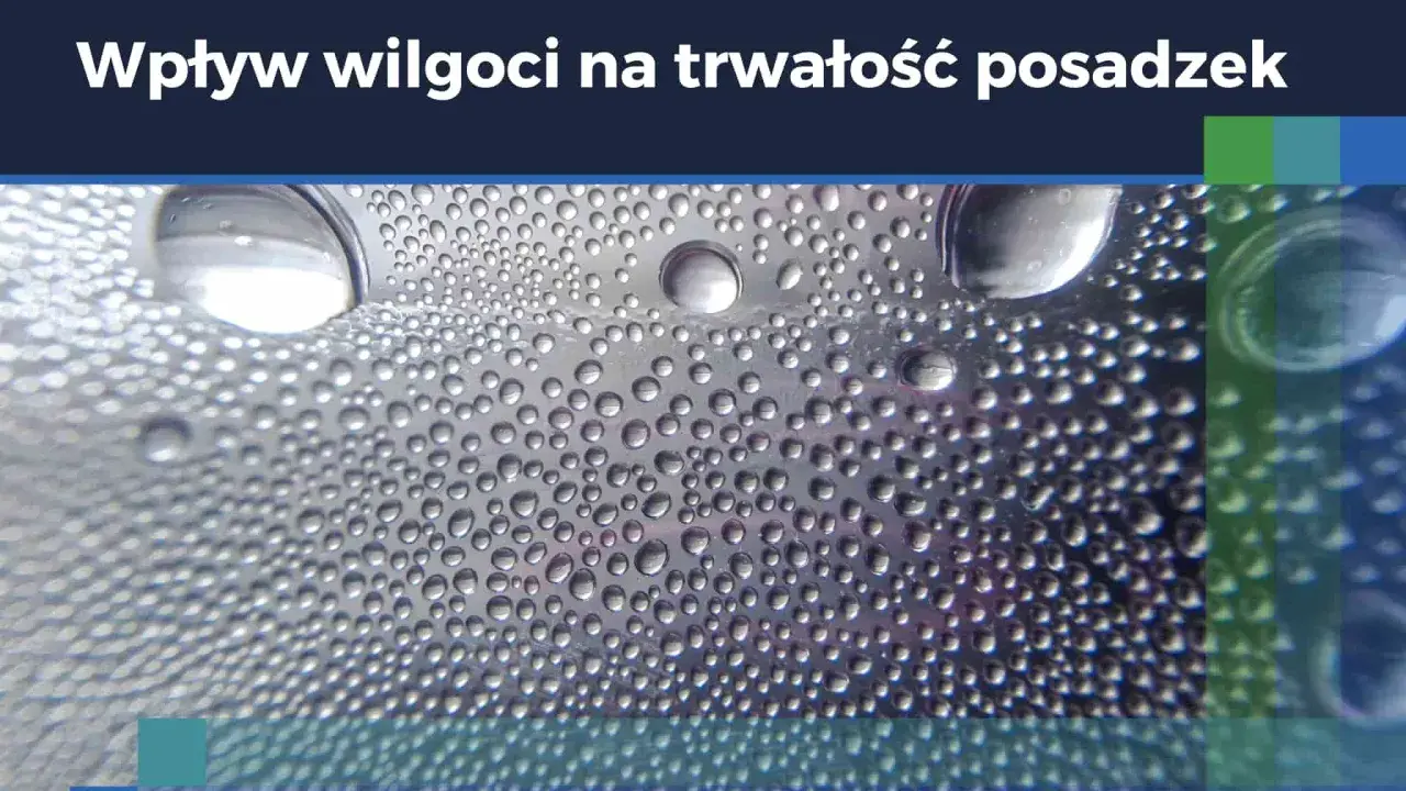 Krople wody na powierzchni, ilustrujące zjawisko punktu rosy i wpływ wilgoci na trwałość posadzek.