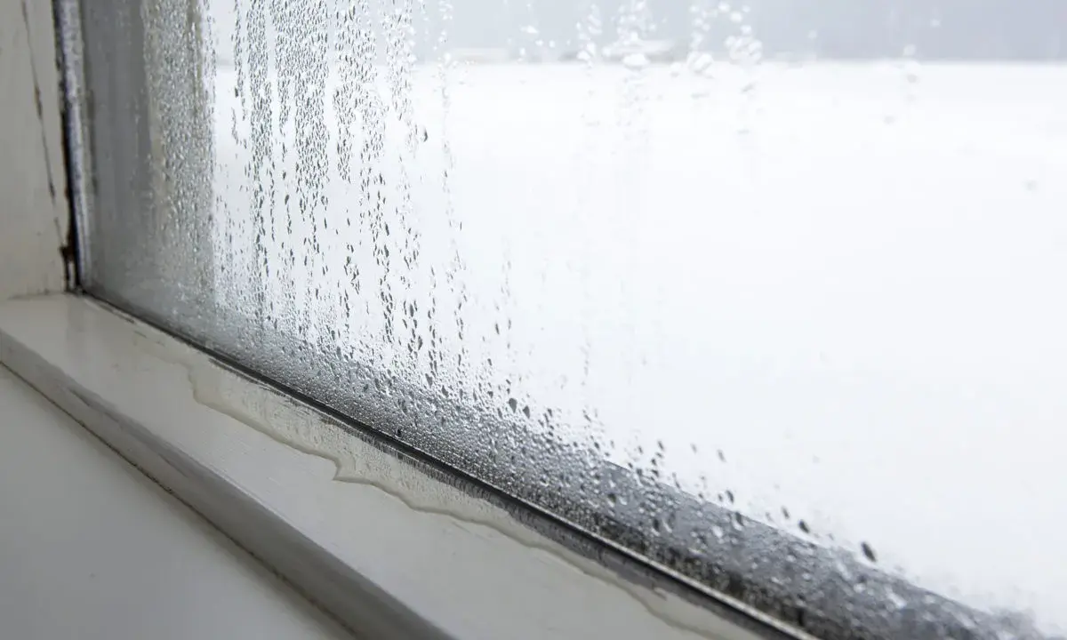Kondensacja na oknie. Krople wody spływają po szybie, tworząc kałużę na parapecie. To zjawisko, kondensacja, pokazuje różnicę temperatur.