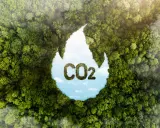 Gęsty las tworzy kształt płomienia, w którym widać niebo i chmury. W środku litery "CO2" uformowane z liści. Zastanawiasz się, ile Polska płaci za emisję CO2?