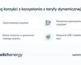 Grafika przedstawia cztery ikony z opisami: optymalizacja kosztów, świadome planowanie pracy urządzeń, niższe rachunki i wsparcie OZE.
