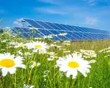 Łąka pełna stokrotek przed rzędem paneli słonecznych. Czysta energia i natura w harmonii, symbolizujące odnawialne źródła energii.