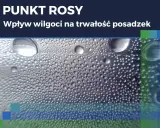 Krople wody na powierzchni, ilustrujące zjawisko punktu rosy i wpływ wilgoci na trwałość posadzek.
