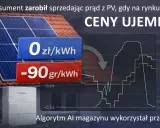 Panele PV na dachu, magazyn energii i wykresy cen prądu. Prosumenci zarabiają na energii słonecznej, nawet gdy ceny są ujemne.