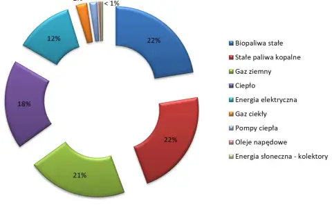 Wykres kołowy pokazuje strukturę zużycia energii w Polsce: 22% gaz ziemny, 22% stałe paliwa kopalne, 21% ciepło, 18% energia elektryczna, 12% biopaliwa stałe, a pozostałe źródła poniżej 2%.