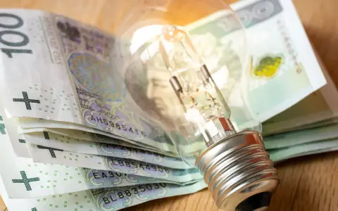 Żarówka leżąca na stosie polskich banknotów 100 zł.
