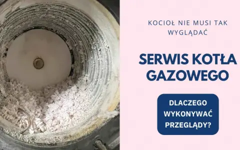 Zaniedbany piec gazowy po przeglądzie. Konserwacja pieca gazowego zapobiega takim osadom.