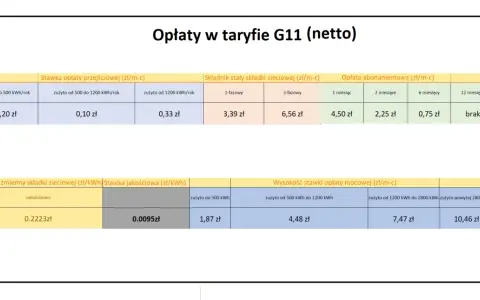 Taryfa G11 dla domu jednorodzinnego: opłaty przejściowe, stałe, abonamentowe i mocowe. Sprawdź, jaka taryfa prądu będzie najlepsza.