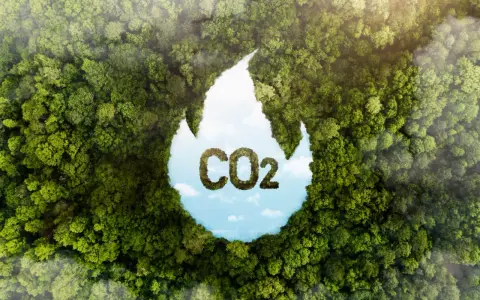 Gęsty las tworzy kształt płomienia, w którym widać niebo i chmury. W środku litery "CO2" uformowane z liści. Zastanawiasz się, ile Polska płaci za emisję CO2?