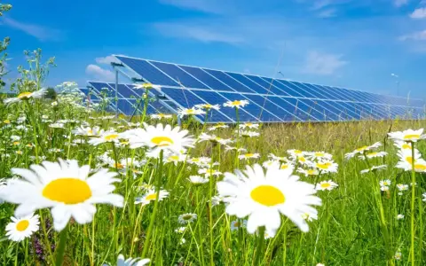 Łąka pełna stokrotek przed rzędem paneli słonecznych. Czysta energia i natura w harmonii, symbolizujące odnawialne źródła energii.
