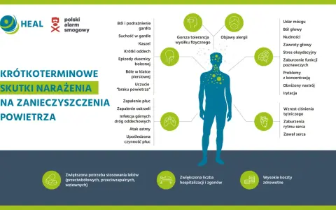 Grafika przedstawia skutki krótkoterminowego narażenia na zanieczyszczenia powietrza, ilustrując objawy oddechowe, neurologiczne i sercowe. Polski alarm smogowy to ostrzeżenie o zagrożeniu.