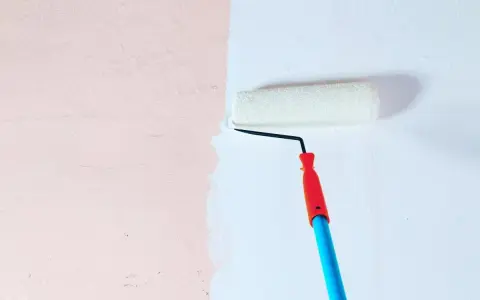 Malowanie ściany wałkiem. Zastanawiasz się, czy wybrać farbę ceramiczną czy lateksową?