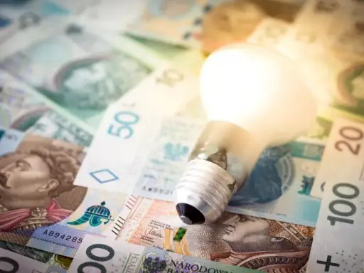 Żarówka świeci na tle polskich banknotów. Czy to dodatek energetyczny dla każdego?