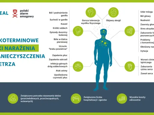 Grafika przedstawia skutki krótkoterminowego narażenia na zanieczyszczenia powietrza, ilustrując objawy oddechowe, neurologiczne i sercowe. Polski alarm smogowy to ostrzeżenie o zagrożeniu.