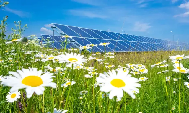 Łąka pełna stokrotek przed rzędem paneli słonecznych. Czysta energia i natura w harmonii, symbolizujące odnawialne źródła energii.
