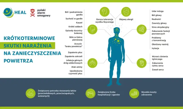 Grafika przedstawia skutki krótkoterminowego narażenia na zanieczyszczenia powietrza, ilustrując objawy oddechowe, neurologiczne i sercowe. Polski alarm smogowy to ostrzeżenie o zagrożeniu.