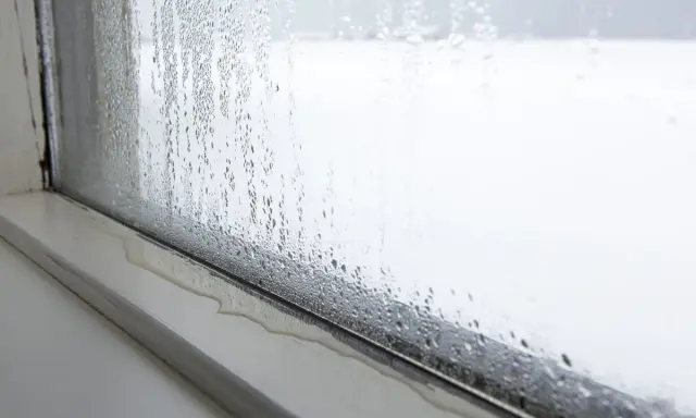 Kondensacja na oknie. Krople wody spływają po szybie, tworząc kałużę na parapecie. To zjawisko, kondensacja, pokazuje różnicę temperatur.