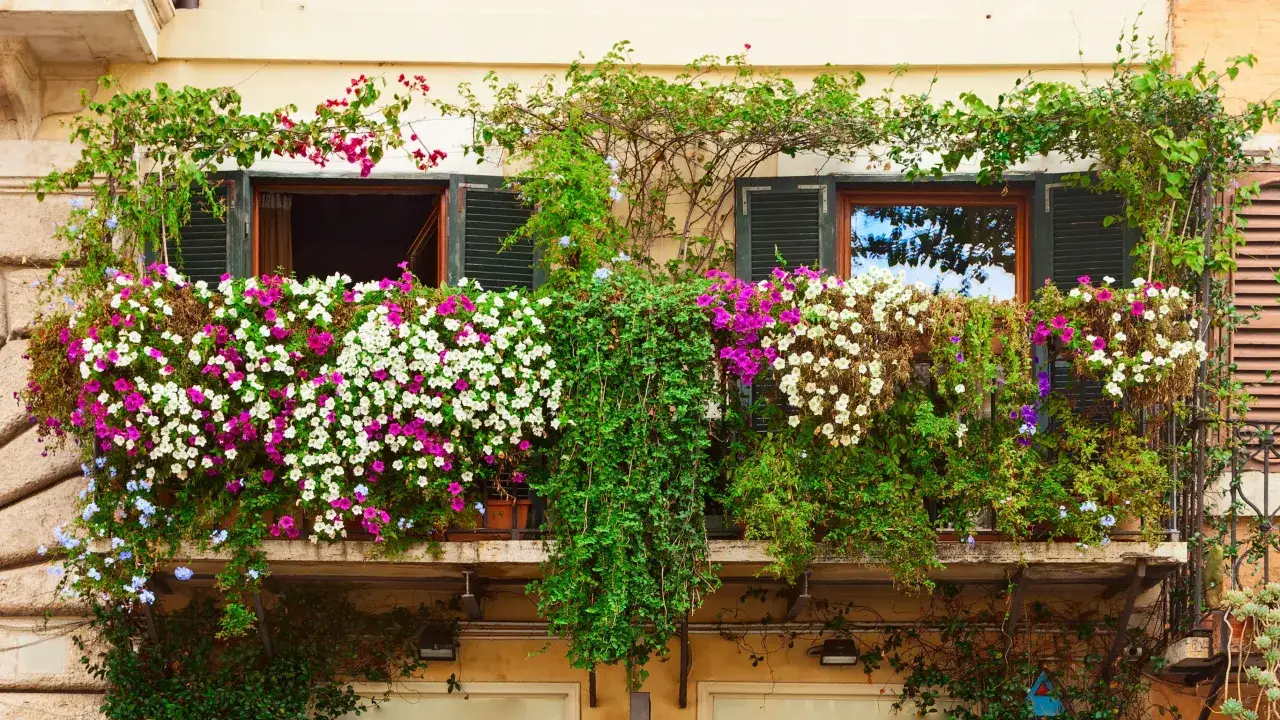 Balkon pełen kwitnących, ciekawe kwiaty na balkon w odcieniach bieli i fioletu, otoczony bujną zielenią.