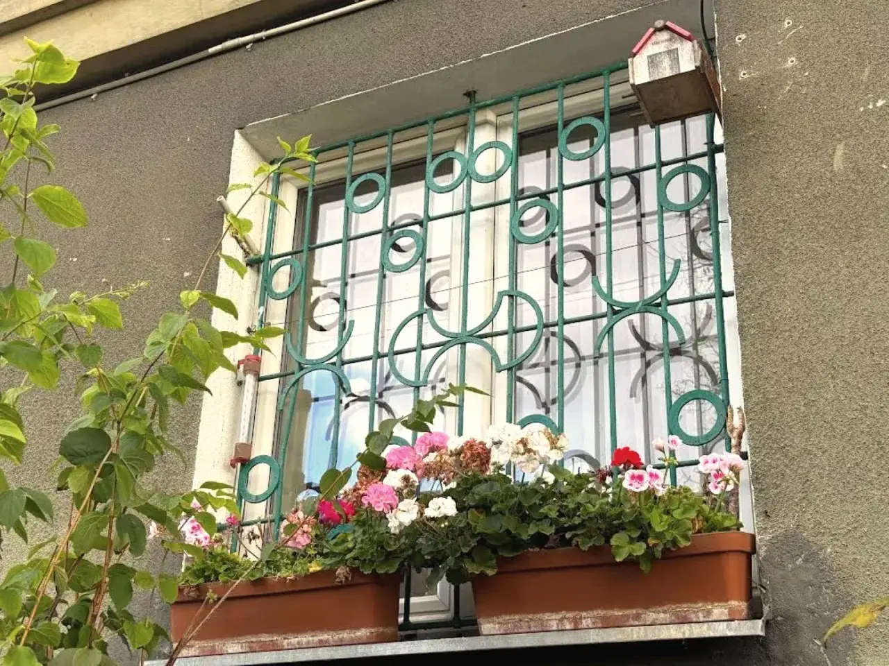 Kiedy pelargonie na balkon kwitną, okno zdobią kolorowe kwiaty. Zielona kratka i karmnik dla ptaków dodają uroku.