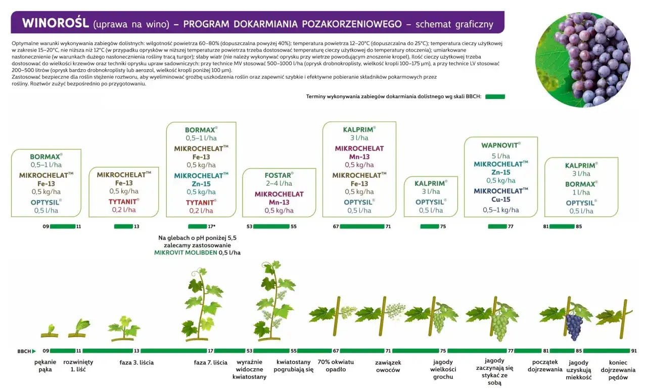 Program dokarmiania winorośli: schemat z produktami jak Bormax, Kalprim, Wapnovit, które tworzą domowy nawóz do winogron, wspierając wzrost i dojrzewanie.
