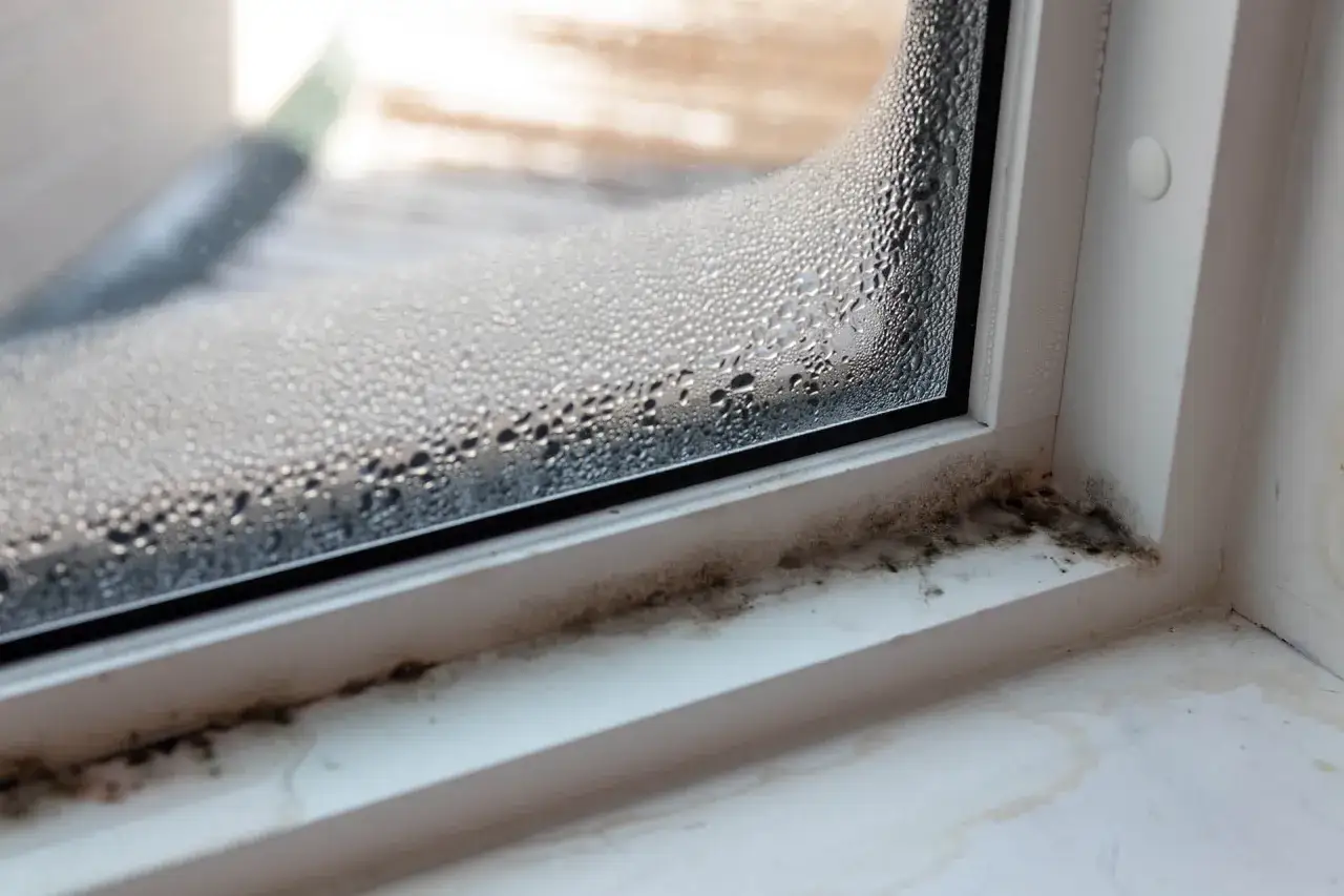 Kondensacja na oknie i pleśń na parapecie. Woda skrapla się na szybie, tworząc kropelki, a na ramie okiennej widać czarne naloty.