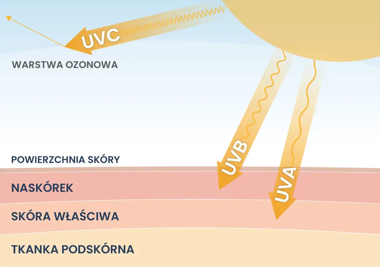 Promieniowanie słoneczne UVA i UVB dociera do skóry, podczas gdy UVC jest blokowane przez warstwę ozonową.